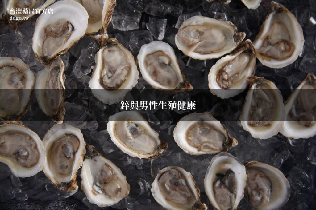 鋅與男性生殖健康完整指南|藥師解析鋅對精子品質、睪固酮與性功能的關鍵作用 1 ddgo cover watermarked