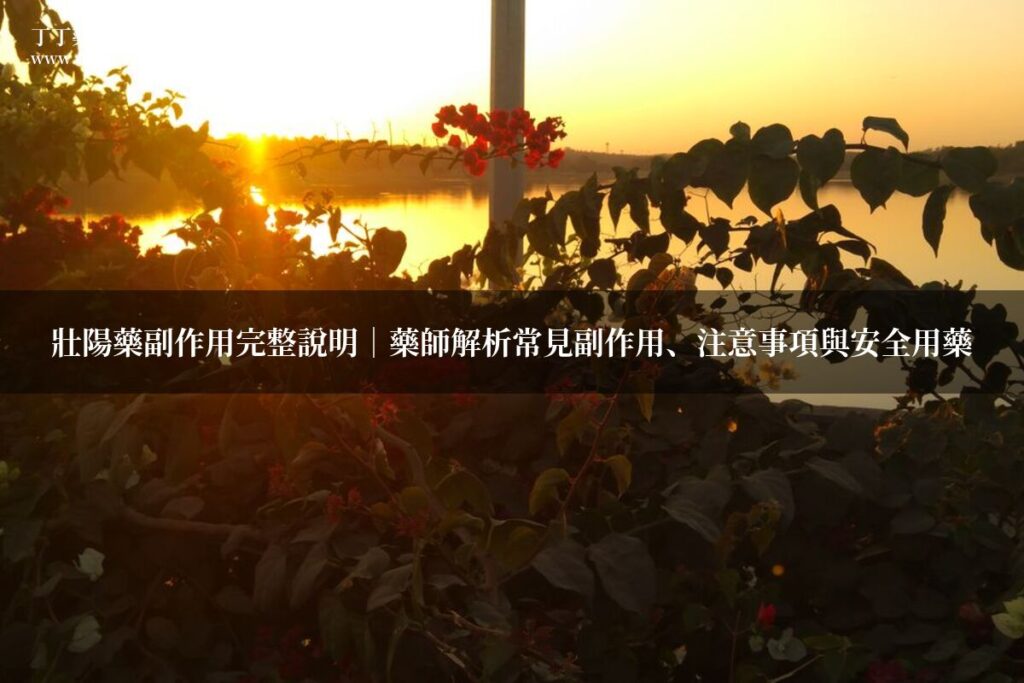 壯陽藥副作用完整說明|藥師解析常見副作用、注意事項與安全用藥指南 1 ddgo watermarked